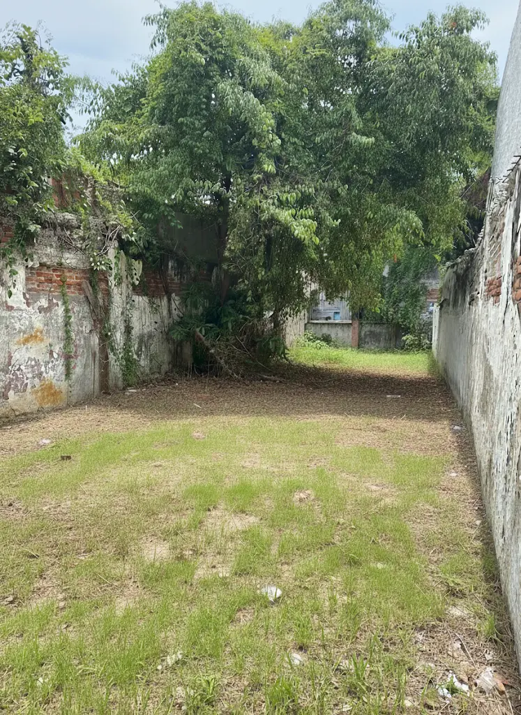 Vista interior del terreno en Mazatlán